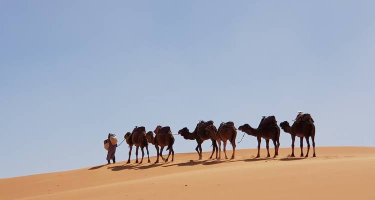 Kamelenkaravaan met een gids op een woestijnduin.