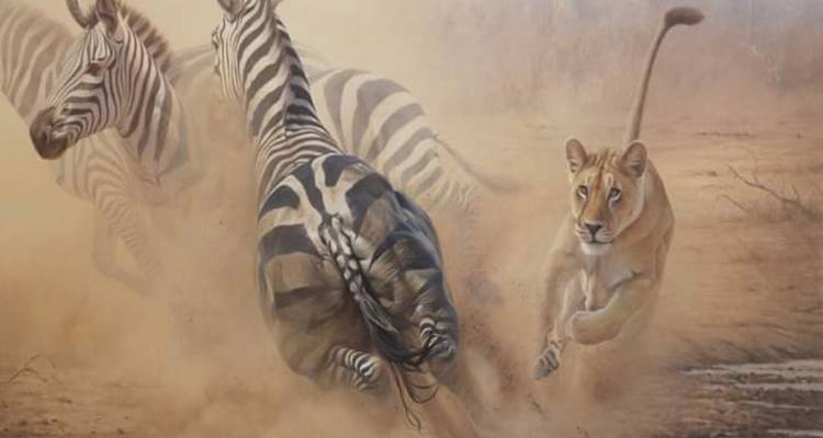 Illustration einer Löwin, die Zebras über eine staubige Ebene jagt.