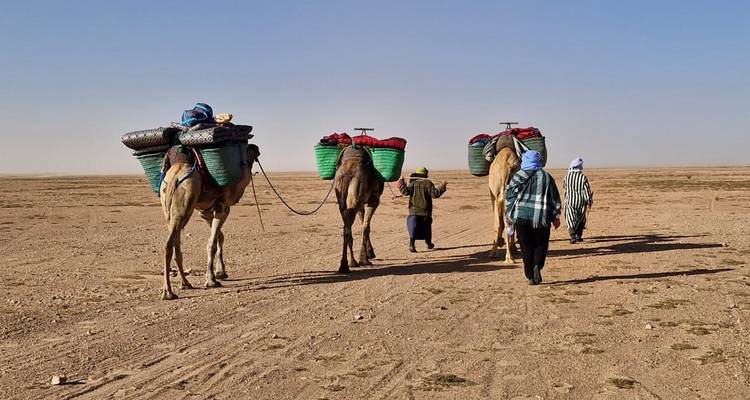 Karavaan van kamelen met kleurrijke manden geleid over een uitgestrekte kale woestijn onder een blauwe hemel.