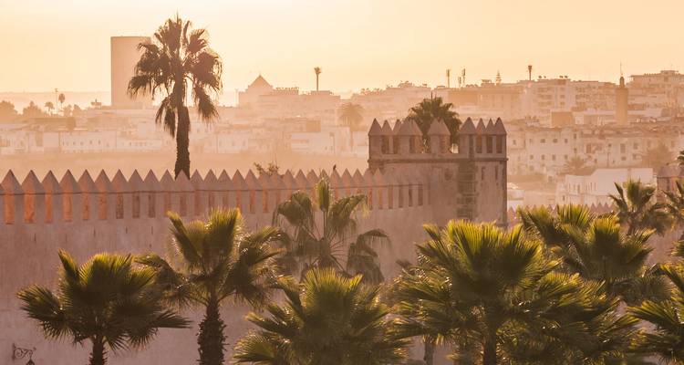 Hazy golden light silhouettes palm trees and city ramparts above a North African cityscape.