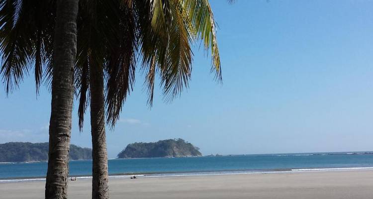 Une scène de plage paisible avec un grand palmier et des îles au loin.