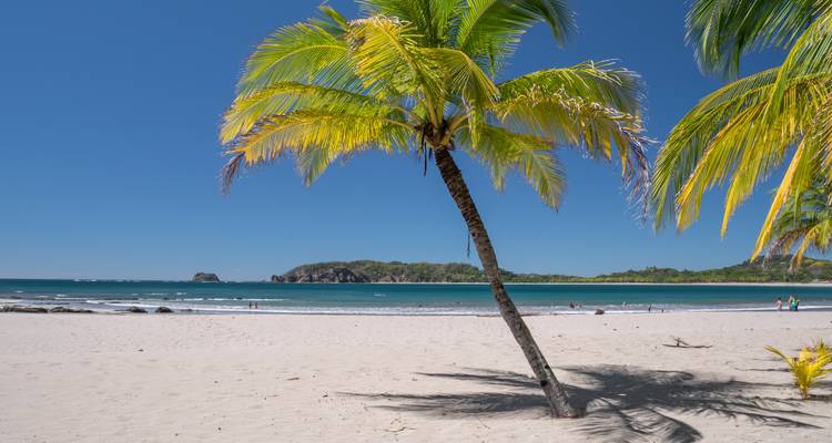 Une plage immaculée avec des palmiers et une eau turquoise sous un ciel bleu dégagé.