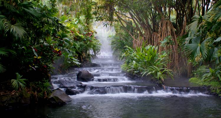 Sources chaudes tropicales luxuriantes avec des eaux en cascade entourées d'un feuillage dense.