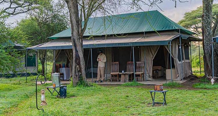 Safari tent camp with person standing outside.