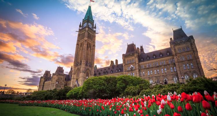 Sierlijk historisch gebouw met bloeiende tulpentuinen bij zonsondergang.