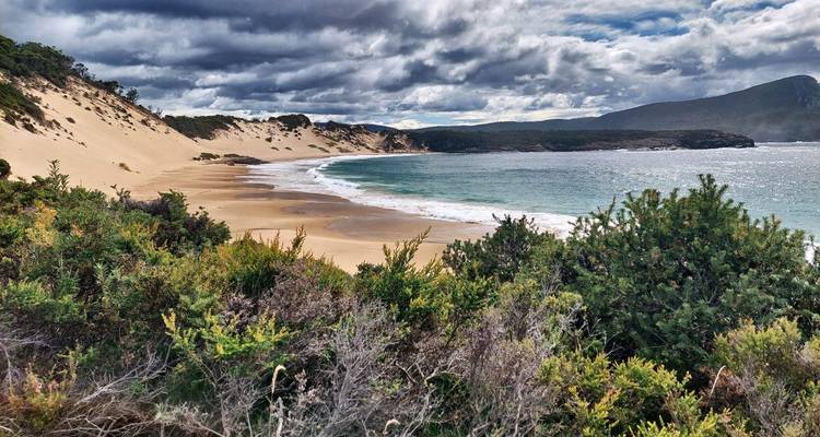 Sandy beach with lush vegetation and a dramatic sky.