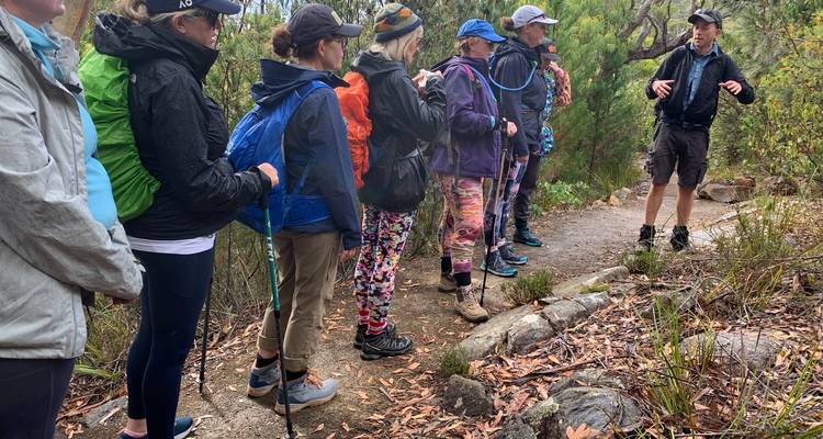 Guide talking to a group of hikers on a forest trail.