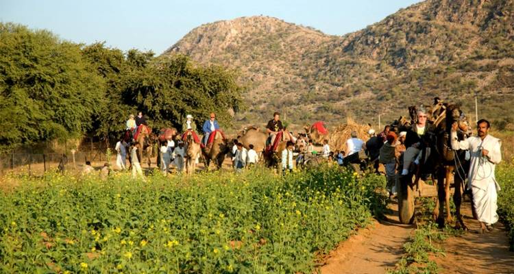 Een groep mensen en kamelen die door een veld trekken.