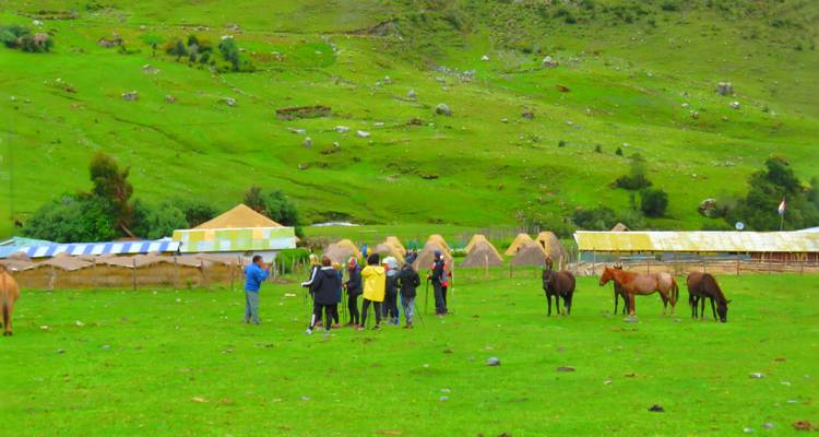 Groep mensen met paarden op een grasveld.