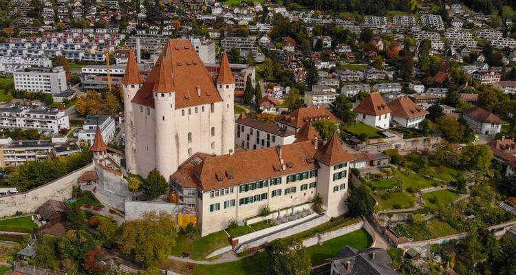 Medieval castle in a picturesque setting with surrounding town and greenery.