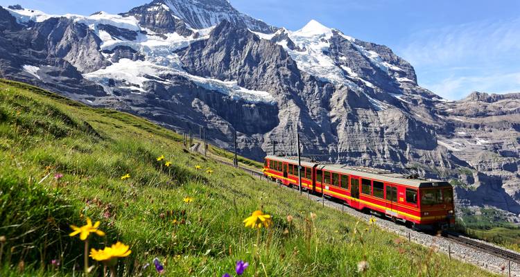 Train ascending a lush mountain landscape with snowy peaks.