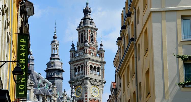 View of Lille with historical architecture and urban scenery.