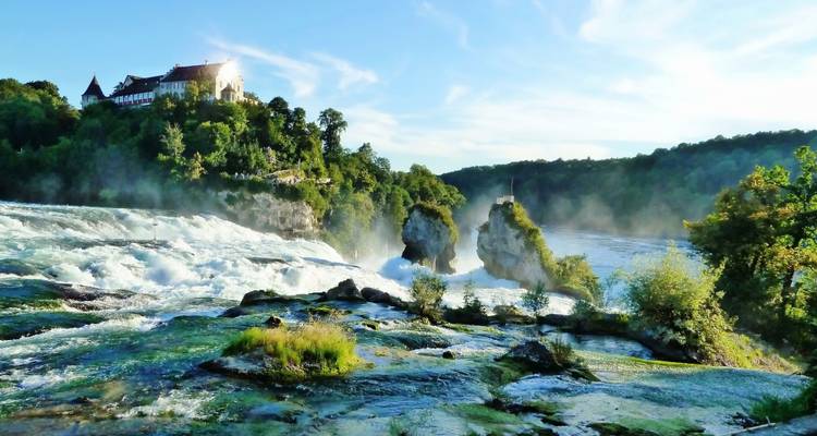 Cataratas del Rin con niebla y vegetación circundante.
