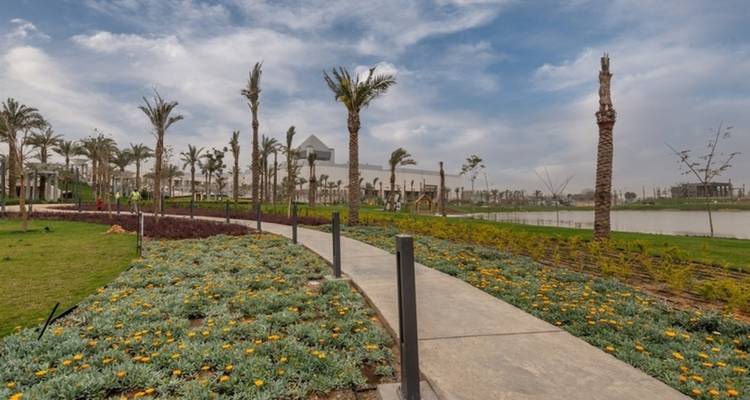 Tuingebied met palmbomen en een wandelpad.