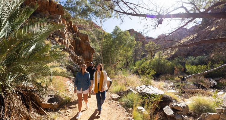 Groupe marchant sur un sentier à travers un paysage rocheux.