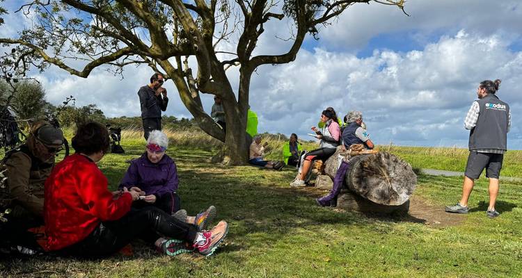 Los ciclistas descansan y hacen un picnic bajo un árbol en un parque costero con césped.