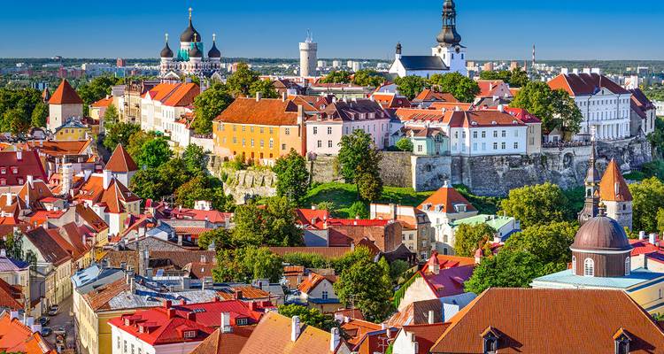 Vue aérienne des toits colorés de la vieille ville de Tallinn.