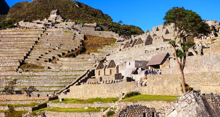 Terrasvormige en stenen architectuur van Machu Picchu onder blauwe luchten.