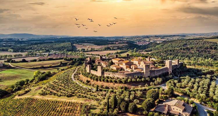 Aerial view of a walled town during sunset with birds flying.