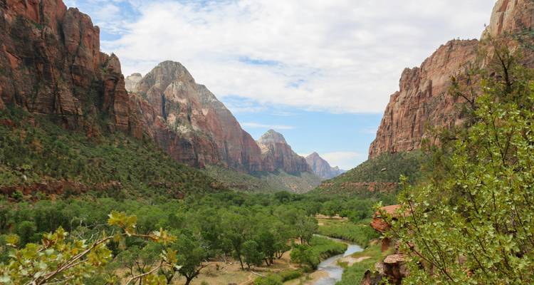Le plancher verdoyant et luxuriant de la vallée contrastait avec les imposantes parois rocheuses rouges qui s'élevaient à Zion National Park.