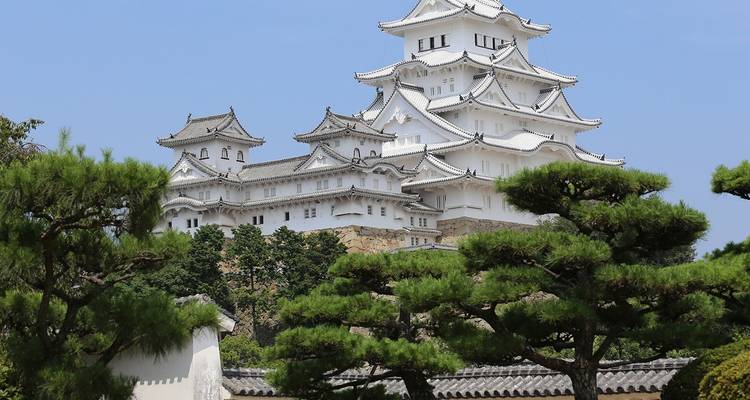 Kasteel Himeji omringd door groene bomen op een heldere dag.