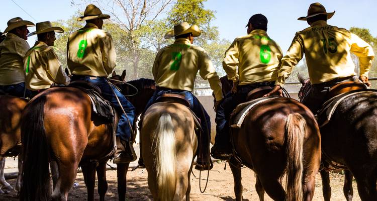 Vista trasera de vaqueros a caballo usando camisas amarillas a juego y sombreros en un evento de rodeo.