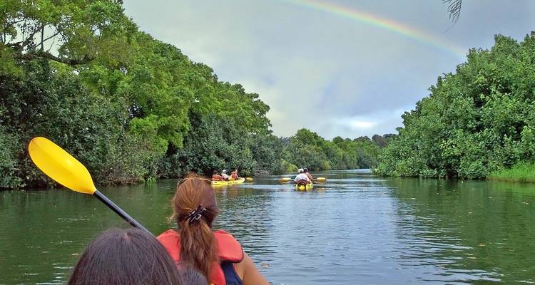 Kayakers paddle down a lush green river beneath a faint rainbow arching over the forest.