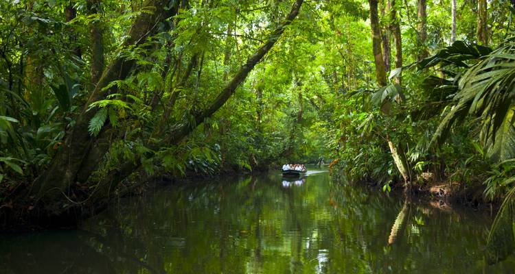 Een klein bootje glijdt door een smal jungle-kanaal omgeven door dicht groen dat zich spiegelt in het stilstaande water.