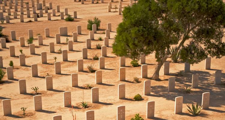 Des rangées régulières de pierres tombales pâles dans un cimetière militaire désertique ombragé par un seul arbre.