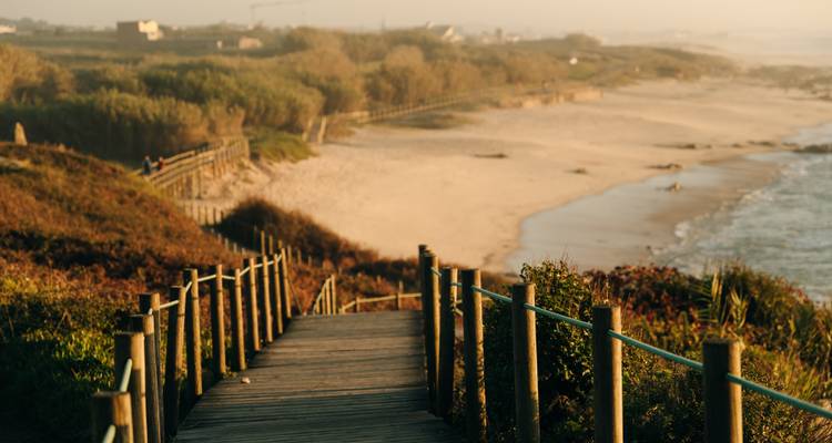 Wooden boardwalk descending through dunes to a quiet sandy beach in warm evening light