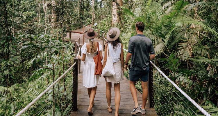 Trois personnes marchant à travers une forêt tropicale luxuriante sur une passerelle.