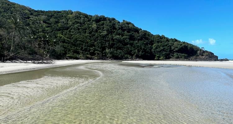Une plage peu profonde avec une eau claire et une colline boisée.