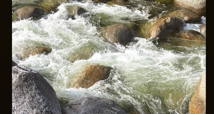 Rapides blancs s'écoulant sur des rochers dans une rivière.