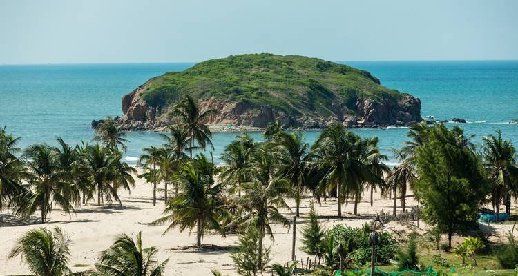 Schilderachtig uitzicht van palmbomen op een strand met een eiland op de achtergrond.
