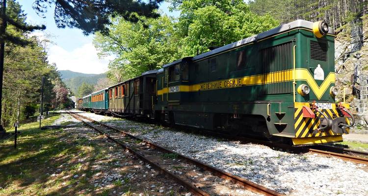 Historischer Zug geparkt auf Gleisen, umgeben von Bäumen.