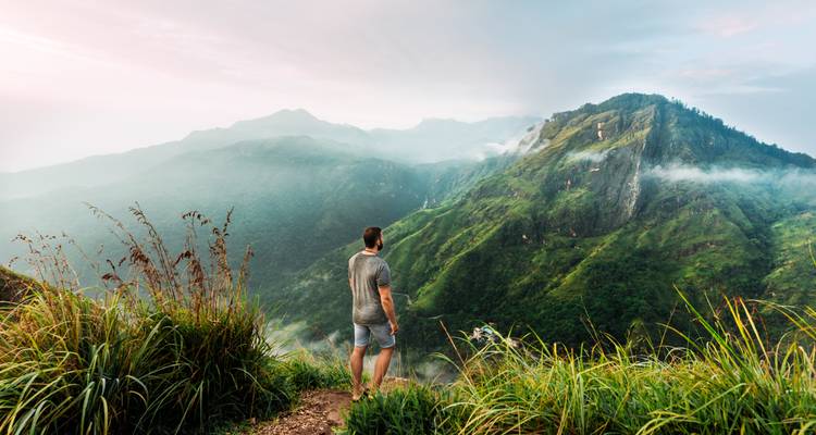 Un hombre está parado en una cresta montañosa brumosa contemplando las exuberantes y verdes tierras altas de Sri Lanka al amanecer.