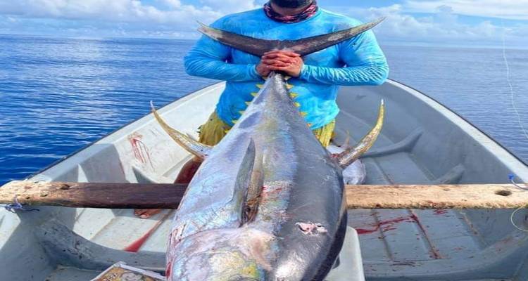 Person, die einen großen Fisch auf einem Boot auf dem Meer hält.