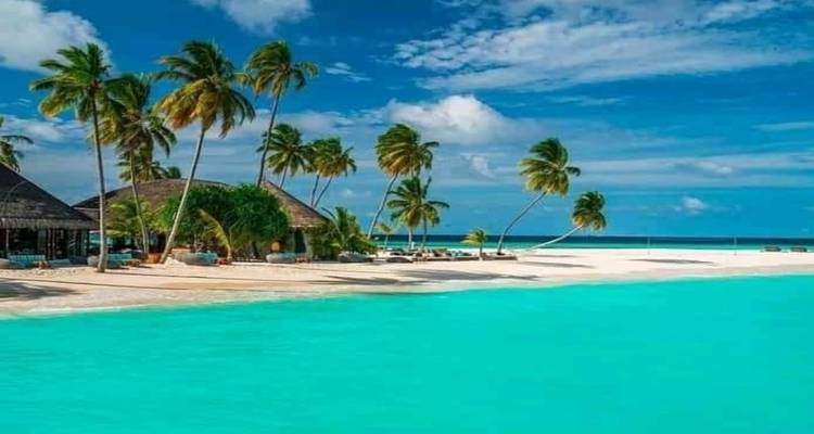 Tropisch eilandstrand met palmbomen en kristalhelder turquoise water.