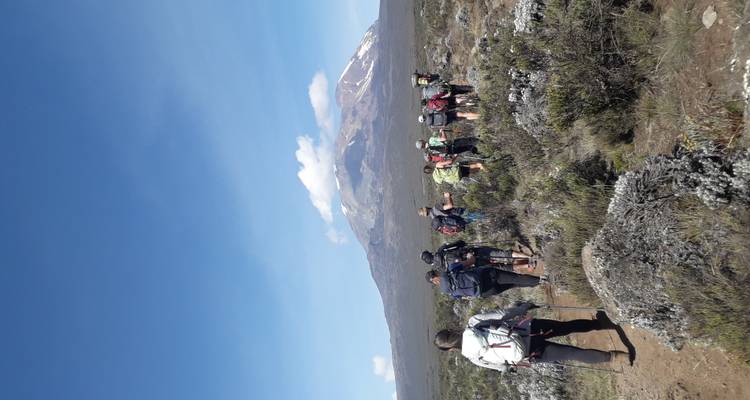 Groupe de randonneurs marchant dans une lande alpine avec le sommet enneigé du Kilimandjaro en perspective.