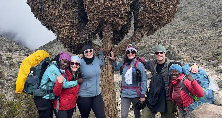 Des randonneurs souriants rassemblés sous un imposant géant senecio sur les pentes du Kilimandjaro.