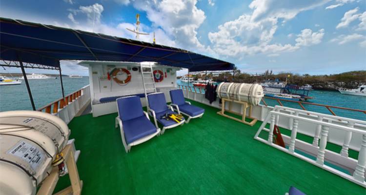 Open zonnedek met ligstoelen en reddingsboeien met uitzicht op een drukke ankerplaats.