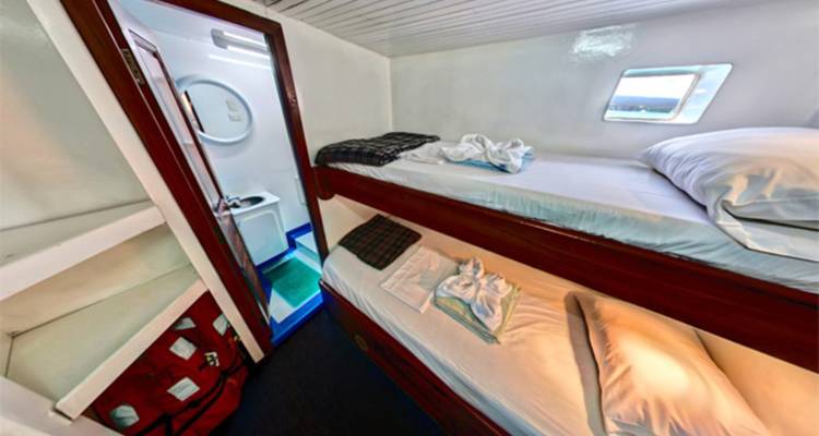 Hut met smalle stapelbedden, klein raam en ingang naar eigen badkamer.