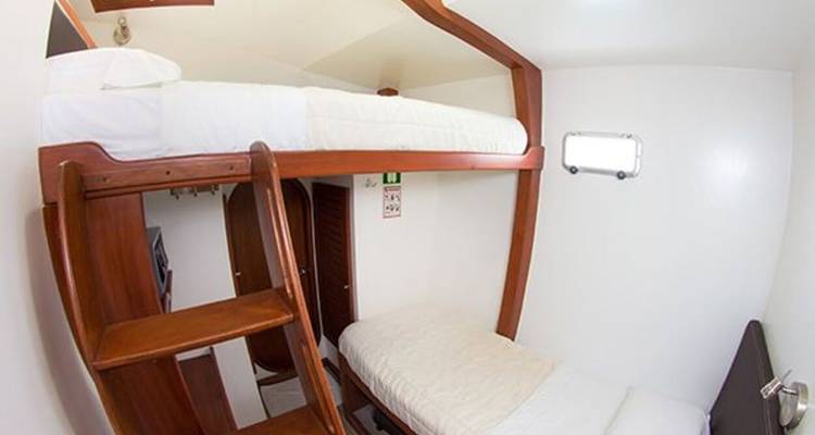 Cabaña simple con litera y escalera de madera y paredes blancas.
