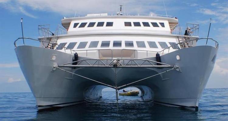 Front-on view of a sleek gray-and-white catamaran floating on calm ocean water.