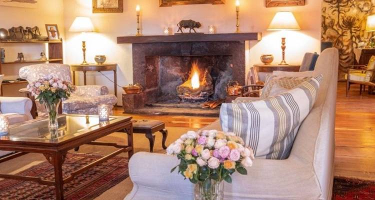 Gemütlicher Wohnbereich mit Kamin und Blumendekoration.