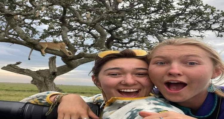 Zwei Frauen machen ein Selfie während einer Safari mit einer Großkatze auf einem Baum.