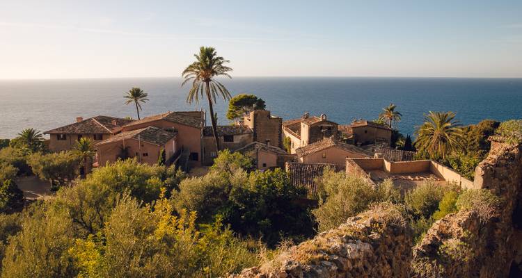 Coastal village with traditional buildings surrounded by trees.