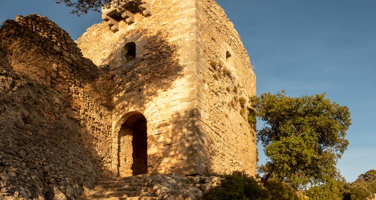 Tour en pierre avec arcade, entourée d'arbres sous un ciel dégagé.