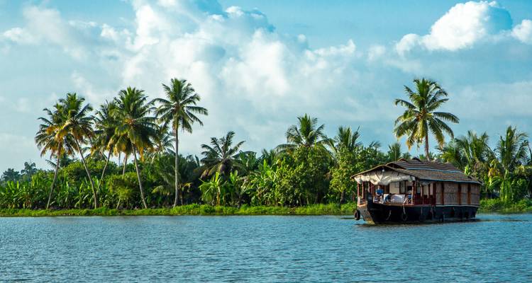 Traditional houseboat on serene backwaters with palm trees