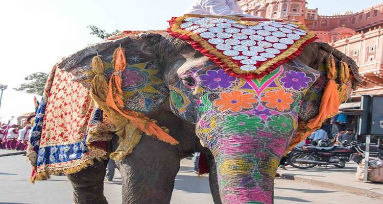 Geschmückter Elefant in einer Festivalumgebung.